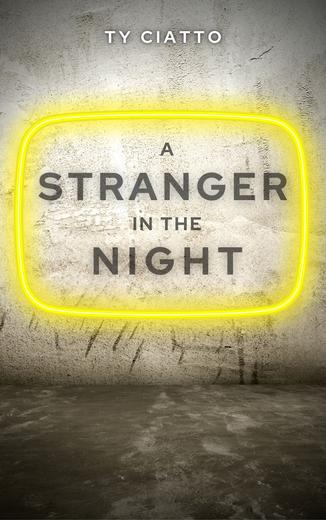 A Stranger in the Night Cover